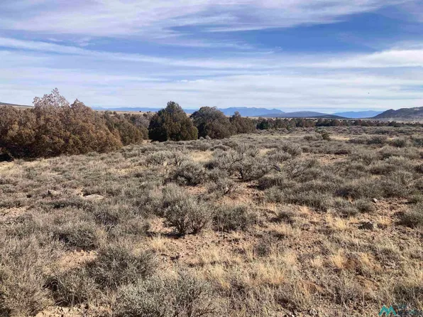 Highway 285 S 29n #4-T-R09E, Tres Piedras, NM 87577