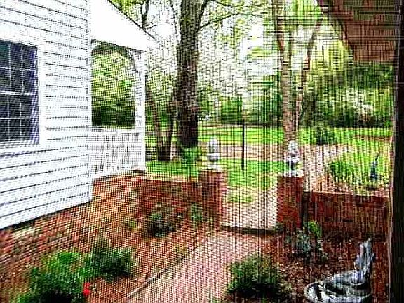 Breeze way view Front yard