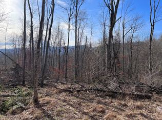 0 White Dogwood Ln, Bakersville, NC 28705