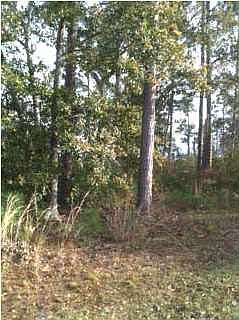 1st image of 3352 Mills Bayou Dr