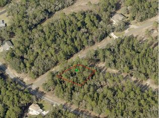 422 W Parrot Pl, Citrus Springs, FL 34434