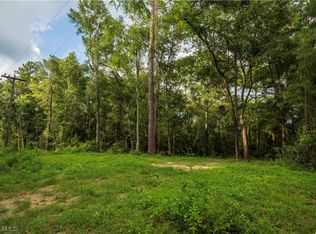 NE Blue Springs Church Rd, Lee, FL 32059