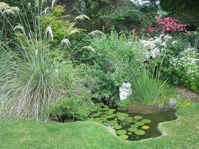 Garden and pond