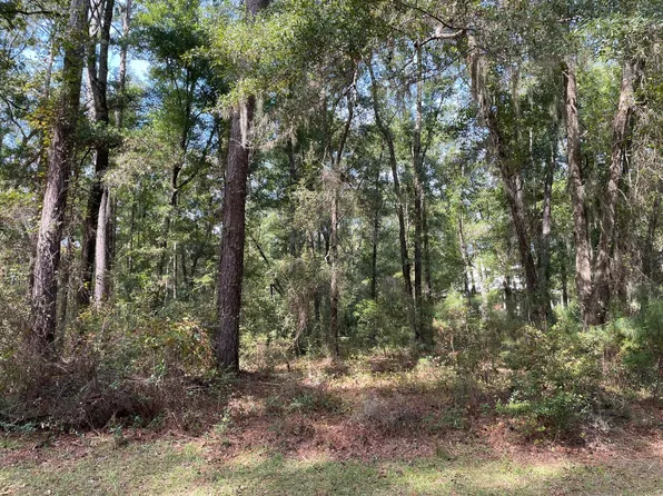20 Chaplin Garden Ln, Edisto Island, SC 29438