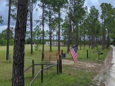 639 NE Lambs Ear Dr, Lee, FL, 32059