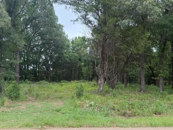 13676 County Road 420, Tyler, TX 75704