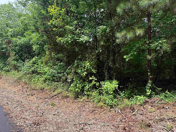 4th image of Cc Rd