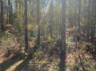 LOT 1 Casey Dr, Nichols, SC 29581