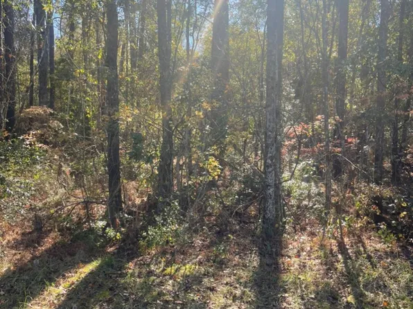LOT 1 Casey Dr., Nichols, SC 29581