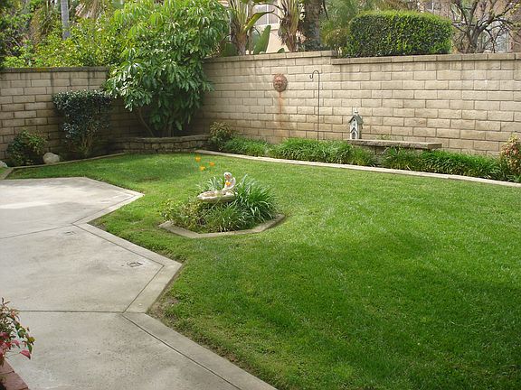 Rear Yard