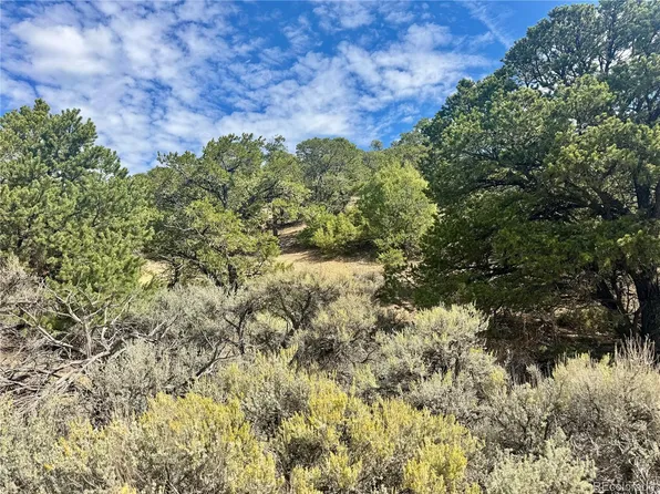 Lot 1374 Carter Road, Fort Garland, CO 81133