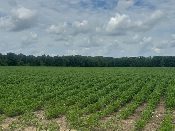 102 W Central Rd, Coldwater, MI 49036