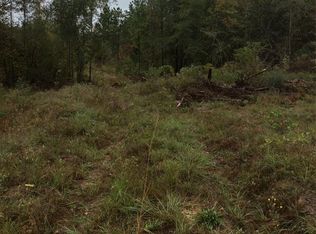 19661 County Road 234, Tyler, TX 75707