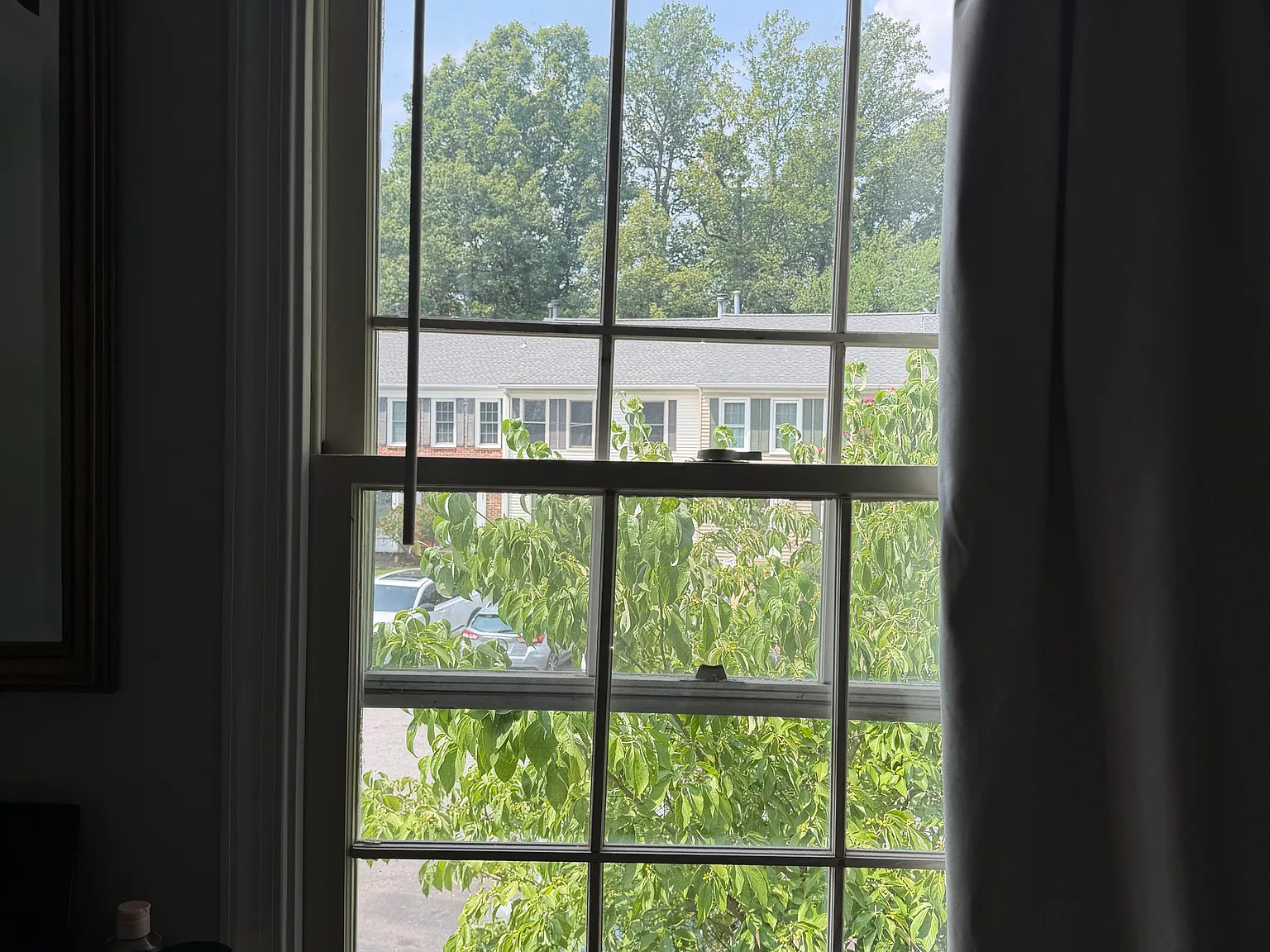 1 bed, 1985 sqft, $1,675 — Photo 4