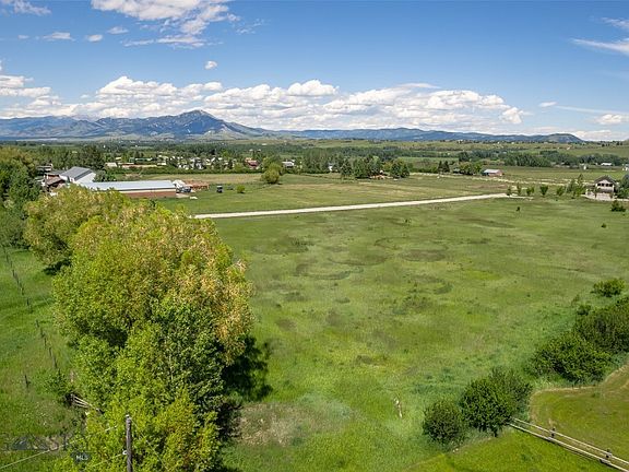 2nd image of Golden Buffalo Rd