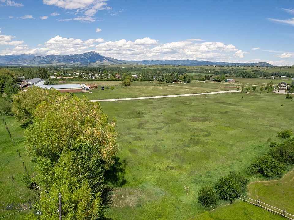 1st image of Golden Buffalo Rd