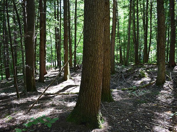 5th image of 44 Black Bear Road Lot #21 on the recorded subdivision plan.