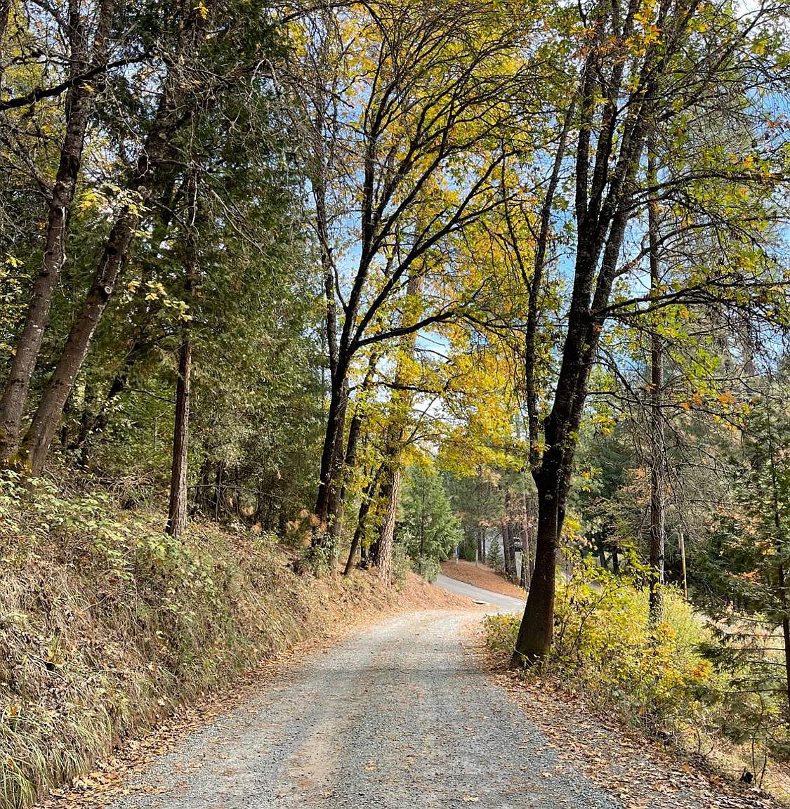 0 Mitchell Mine Rd, Pine Grove, CA 95665 MLS 223036977 Zillow