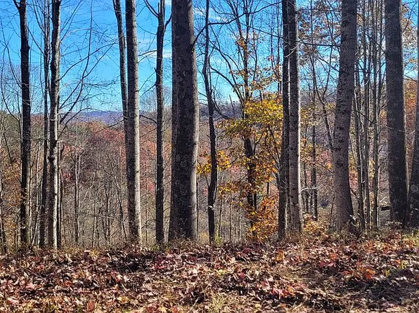 610 Lick Skillet Rd, Saltville, VA 24370