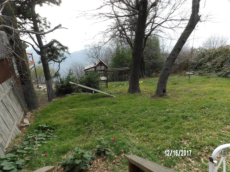 REAR YARD