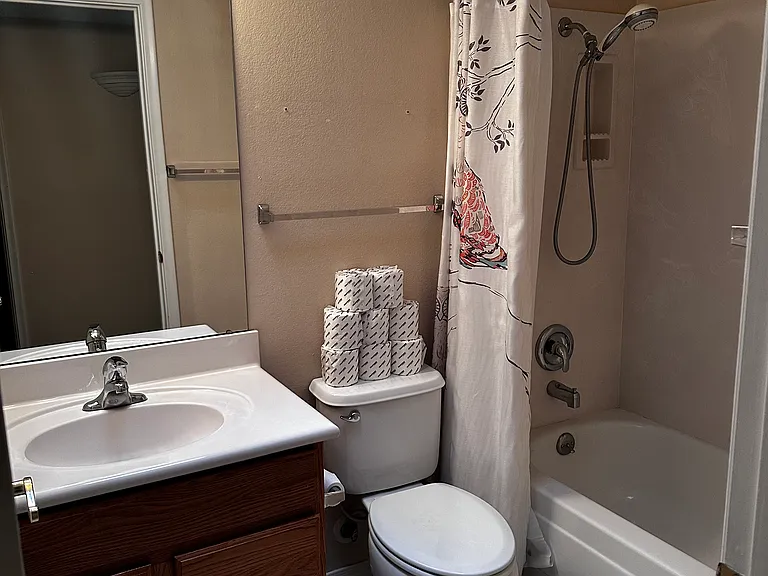 Hall bathroom