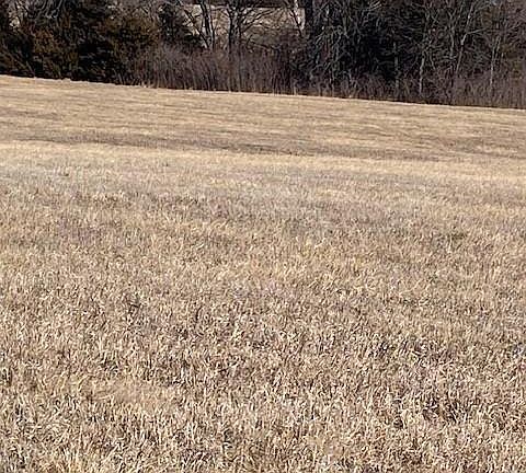 5th image of 0 Springdale Rd