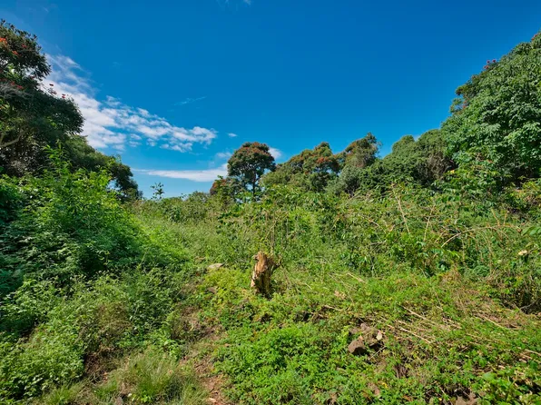 LOT 3 Lot 3, Kealakekua, HI 96750