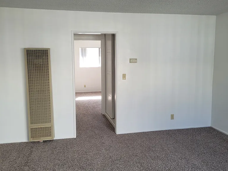 719 Wedgewood Ave #B — Photo 4