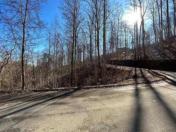 4th image of 106 Bluff Ridge Rd Lot 106