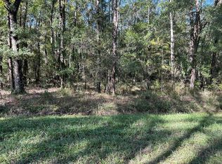10440 Weatherby Ave, Hastings, FL 32145