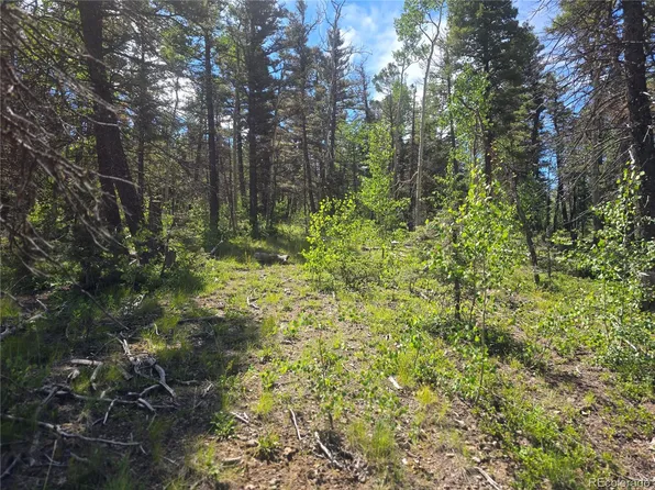 5769 Balleroy Road, Fort Garland, CO 81133