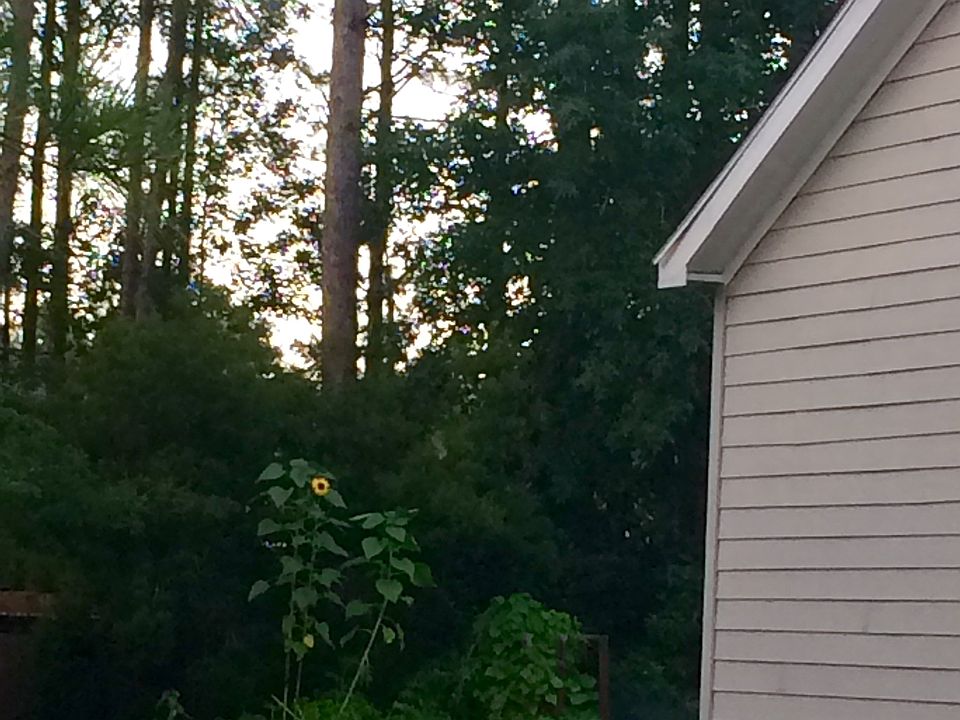 1st image of 308 Prince Ct