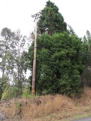 5th image of Orchid Pkwy Lot 29