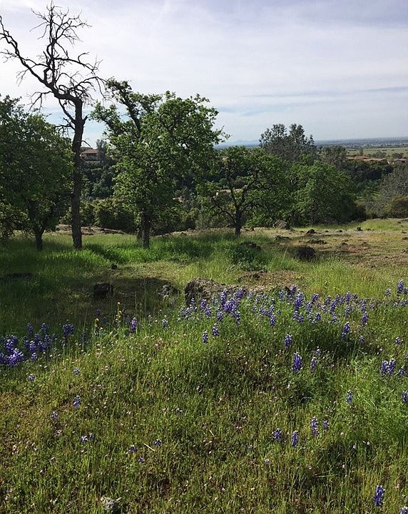 804 Whispering Winds Ln, Chico, CA 95928 Zillow