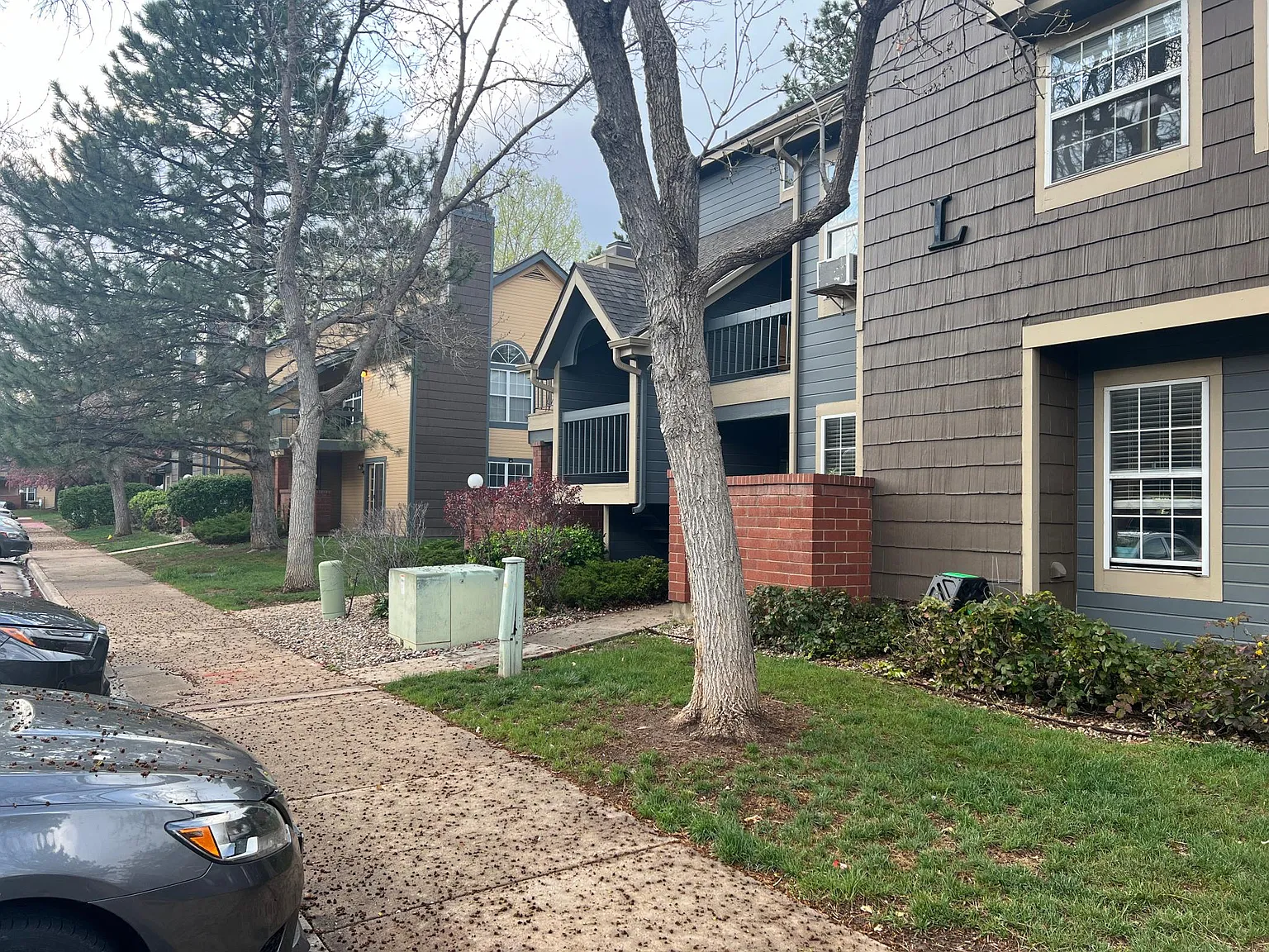 1 bed, 608 sqft, $1,549 — Photo 2