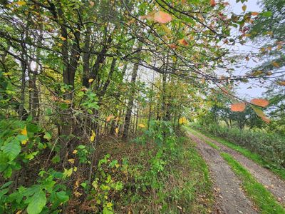 9731 Silverthorn Rd, Mc Kean, PA, 16426