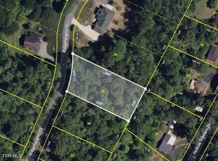 175 Ridgeheights Dr, Gray, TN 37615