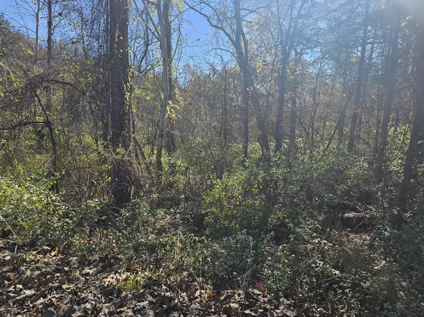 000 Spruce Avenue, Merriam Woods, MO 65740