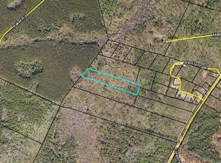 0 Spring Bluff Rd, Waverly, GA 31565