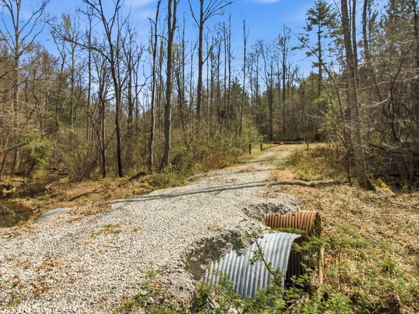 206 Young Rd, Robbins, TN 37852