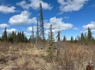 0 Turku Ave, Anchor Pt, AK 99556