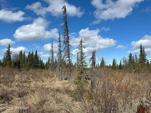 0 Turku Ave, Anchor Pt, AK 99556