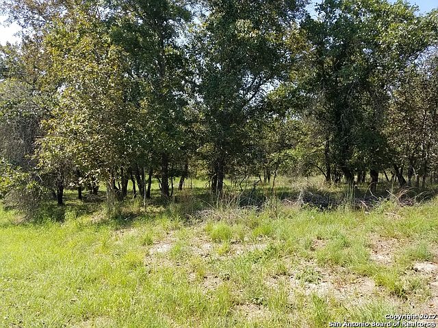 2nd image of 1031 Bluebonnet Ln