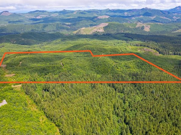 Vollmer Creek Mainline, Seaside, OR 97138