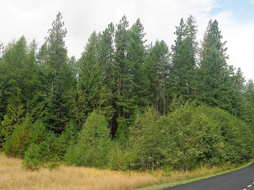 1st image of Lot 2 Forest Knolls