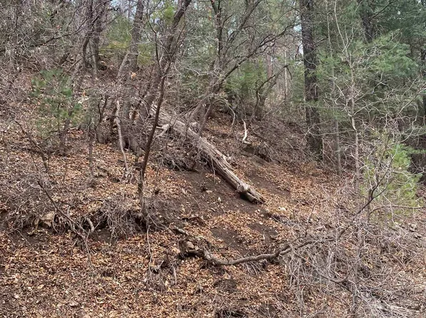 22 Apache Ln, High Rolls Mountain Park, NM 88325