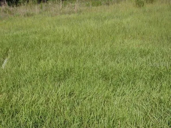 141 Angus Rd #6, Venus, FL 33960