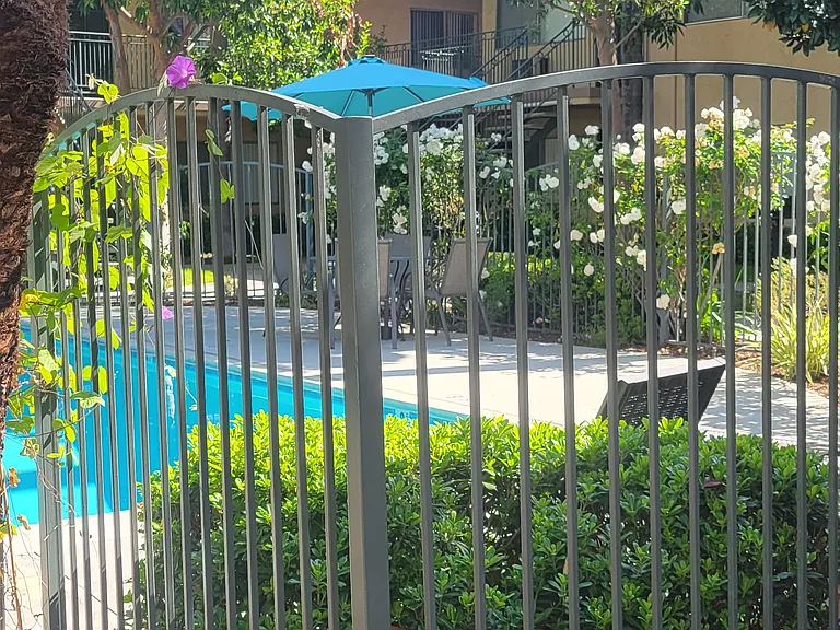 Palm Court Apartments — Photo 12