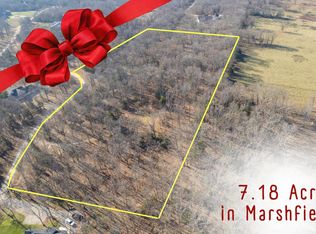 81 Shewanano Loop, Marshfield, MO 65706