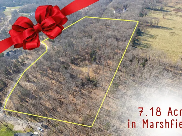 81 Shewanano, Marshfield, MO 65706